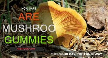Mushroom Gummies: Safe or Risky?