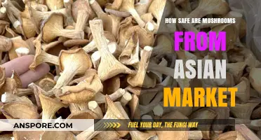 Safety of Asian Market Mushrooms: What You Need to Know