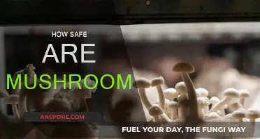 Mushrooms: Safe Superfood or Poisonous Pretenders?