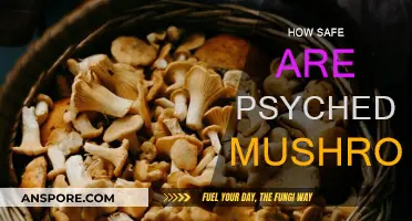 Psychedelic Mushrooms: Safe Trip or Health Risk?
