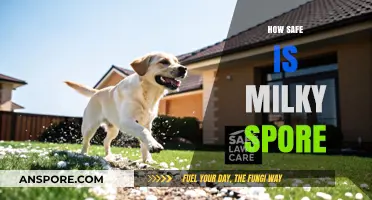 Is Milky Spore Safe for Your Lawn and Garden? Find Out