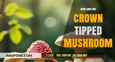 Crown-Tipped Mushrooms: Safe or Not?