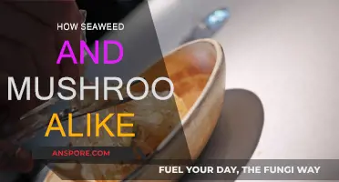 Seaweed and Mushroom: Nature's Twin Superfoods