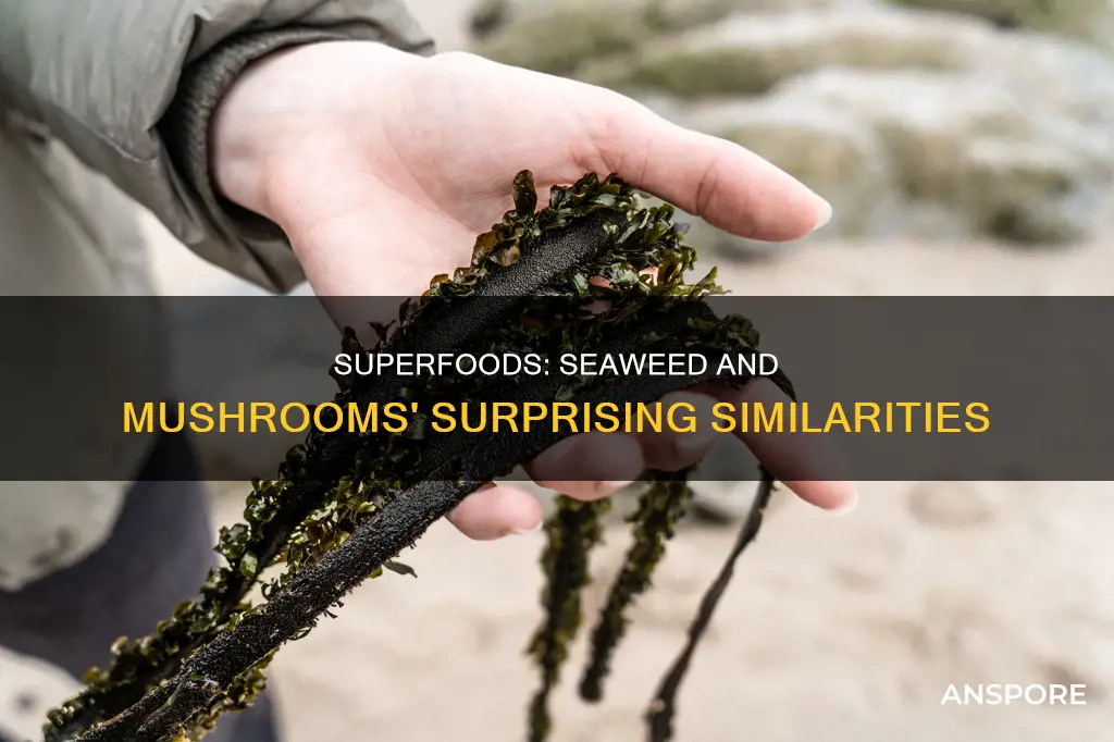 how seaweed and mushroom other similar foods