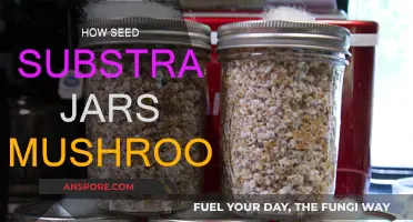 Mushroom Magic: Substrate Jars for Growth