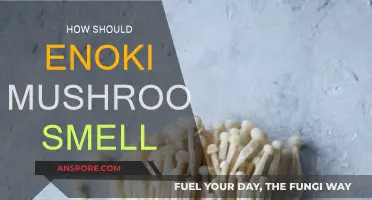 Enoki Mushrooms: Fresh or Foul?
