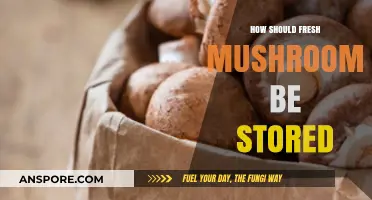 Fresh Mushroom Storage: Best Practices