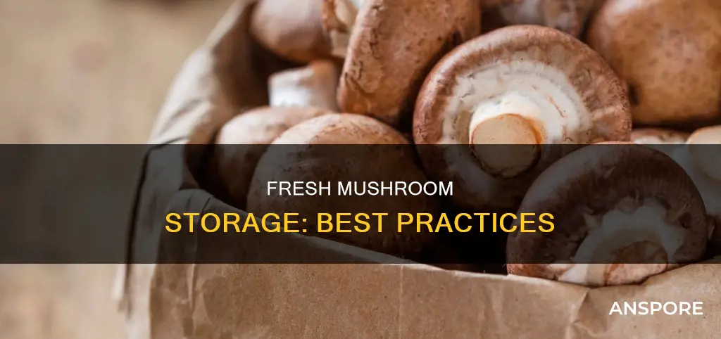 how should fresh mushrooms be stored