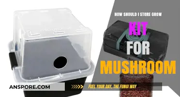 Proper Storage Tips for Your Mushroom Grow Kit Success