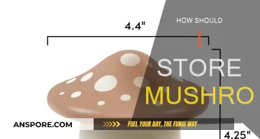 The Best Way to Store Mushrooms at Home