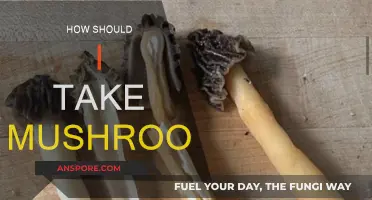 Mushroom Consumption: A Guide to Safe Tripping