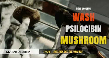 Best Practices for Washing Psilocybin Mushrooms
