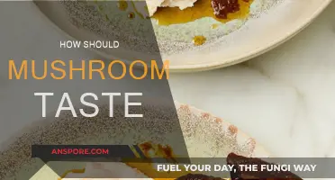 Mushroom Taste: Earthy, Nutty, or Woody?