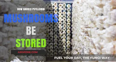 Storing Magic Mushrooms: Best Practices for Longevity