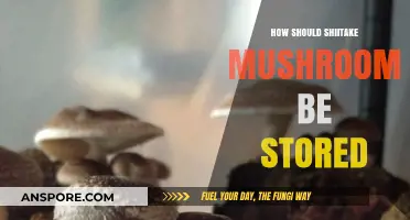 Storing Shiitake Mushrooms: Best Practices for Longevity