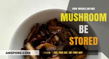 Storing Shiitake Mushrooms: Best Practices for Longevity