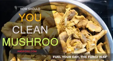 Cleaning Mushrooms: A Step-by-Step Guide
