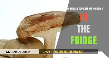 Keep Mushrooms Fresh: Best Fridge Storage Tips
