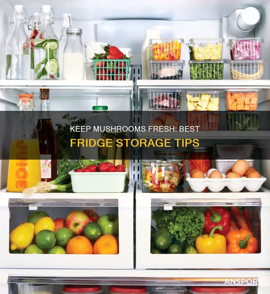 how should you keep mushrooms in the fridge