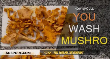 Cleaning Mushrooms: A Quick Guide to Washing Them