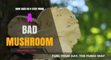 Toxic Mushroom Poisoning: Symptoms, Severity, and Recovery Explained