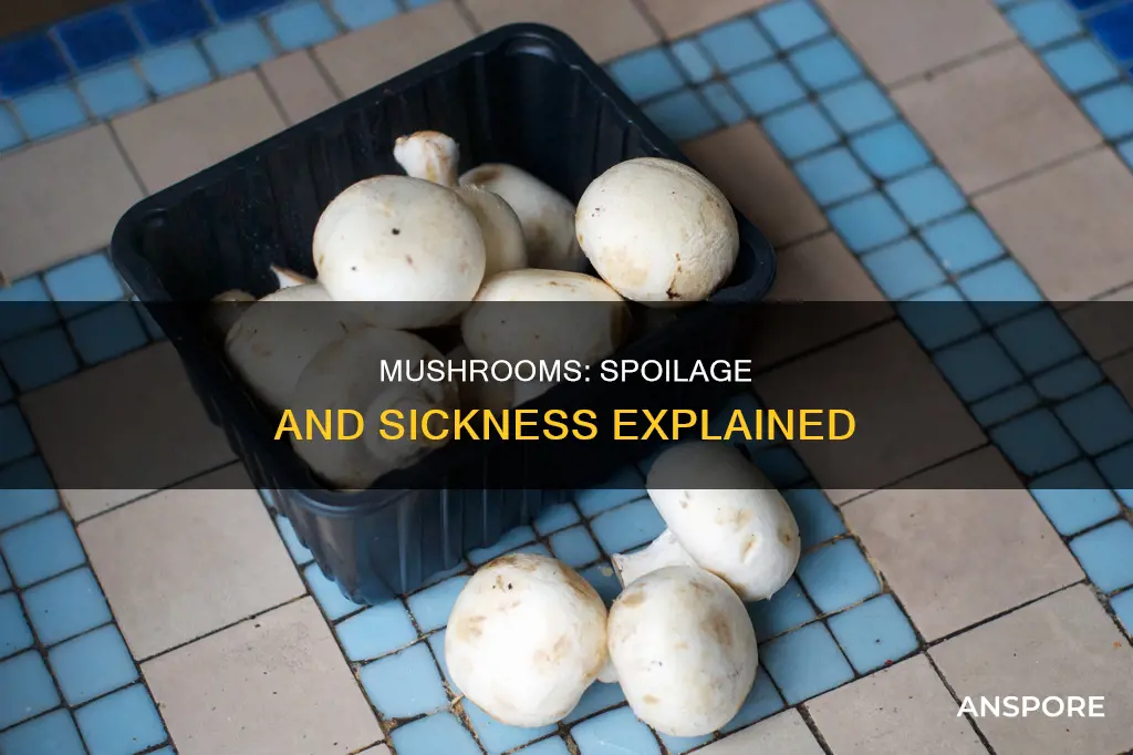 how sick spoiled mushrooms
