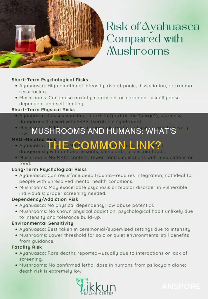 how similar are humans to mushrooms