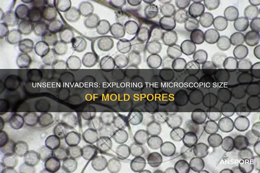 how small are the smallest mold spores