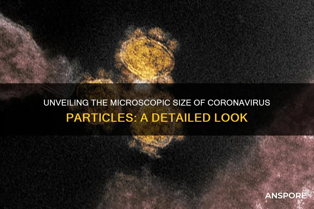 how small is coronavirus spore