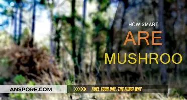 Mushrooms: Nature's Smartest Fungi?