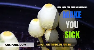 Dirt Mushrooms: How Quickly Can They Cause Illness?