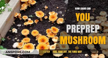Preprep Mushrooms: Timing Tips for Perfect Preservation and Flavor