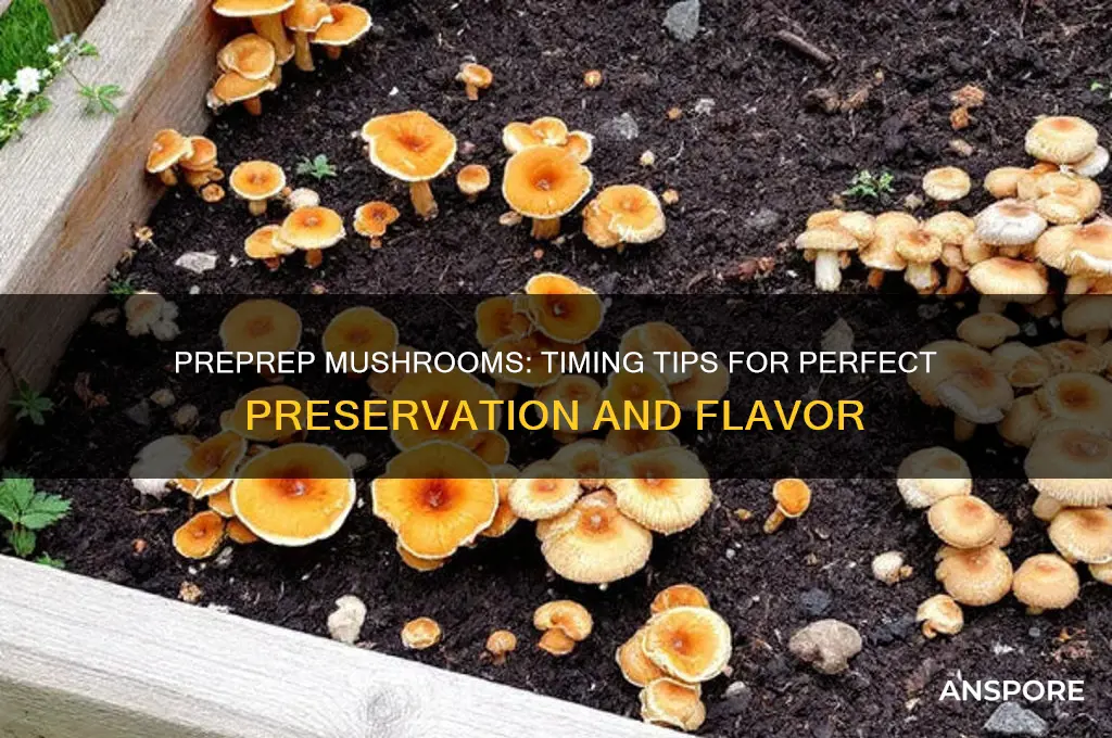 how soon can you preprep mushrooms