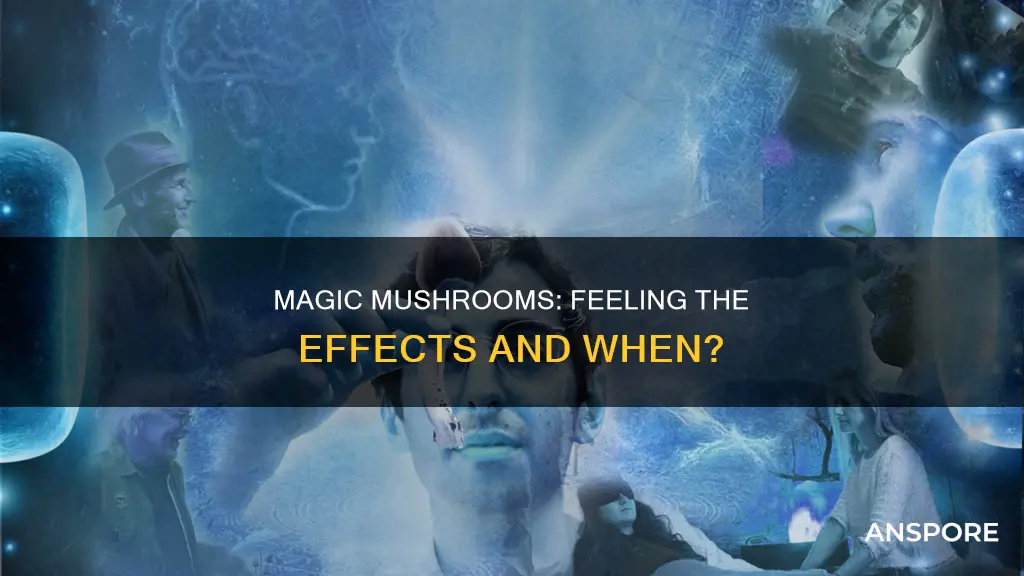 how soon do you feel mushrooms