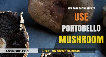Portobello Mushrooms: Best Practices for Freshness and Quick Usage