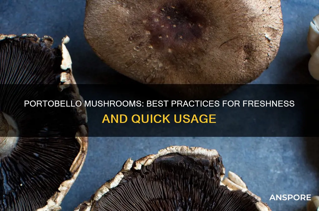 how soon do you need to use portobello mushrooms