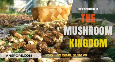 Exploring the Spirituality of Mushroom Kingdom