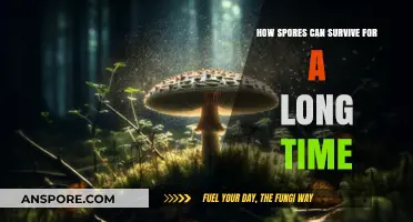 Unraveling the Secrets of Spores' Remarkable Longevity and Survival Strategies