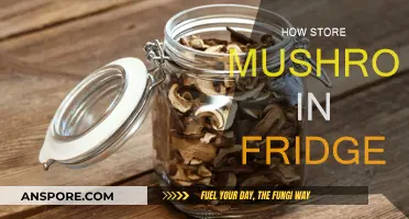 Best Ways to Store Mushrooms in Your Fridge