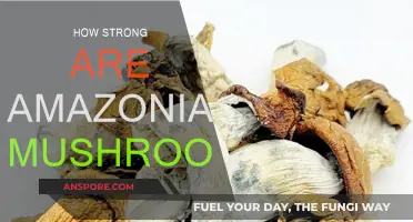 Amazonian Mushrooms: Nature's Powerful Psychoactive Substances