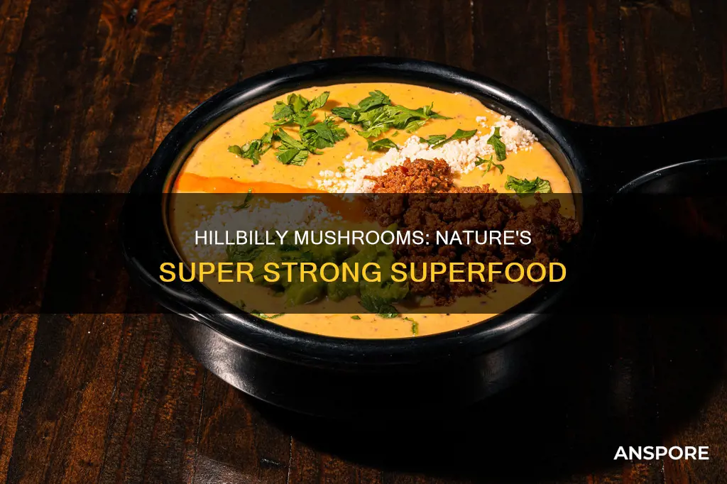 how strong are hillbilly mushrooms