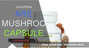 Mushroom Capsules: Nature's Powerful Health Boost