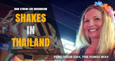 Thailand's Mushroom Shake Power: A Strong Trip