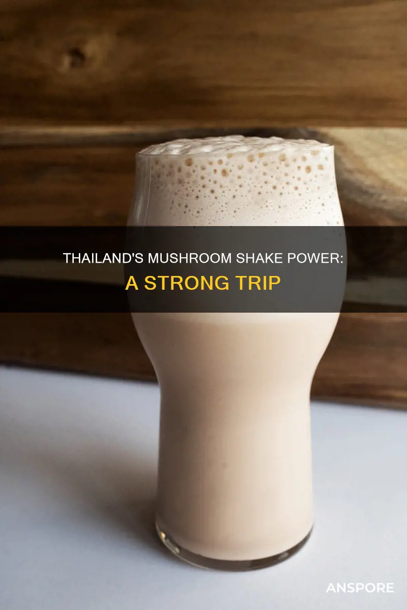how strong are mushroom shakes in thailand