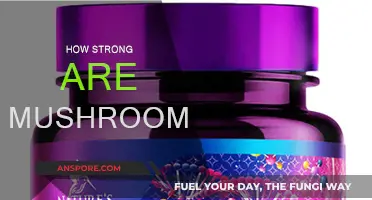 Mushrooms: Nature's Superfood Powerhouses