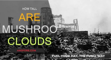 The Height of Mushroom Clouds: Understanding the Scale
