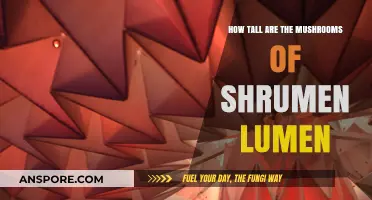 Exploring the Height of Shrumen Lumen's Mushrooms