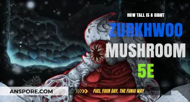 Giant Zurkhwood Mushrooms: How Tall Do They Grow?