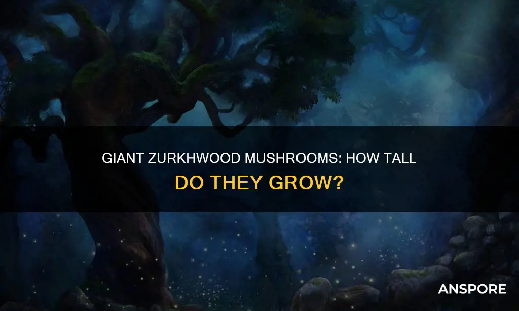 how tall is a giant zurkhwood mushroom 5e