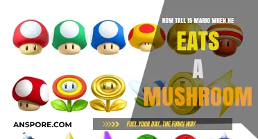 How Tall Does Mario Grow After Eating a Mushroom?